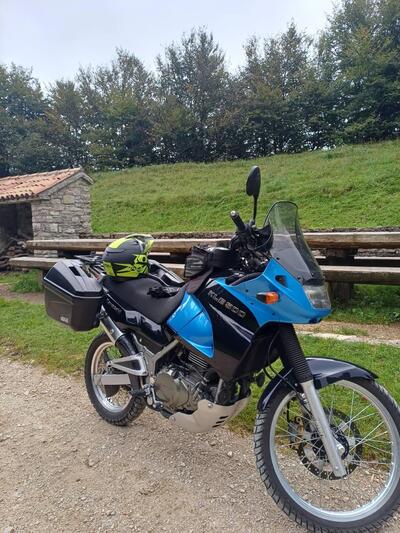 Kawasaki KLE 500 (2001 - 04) usata