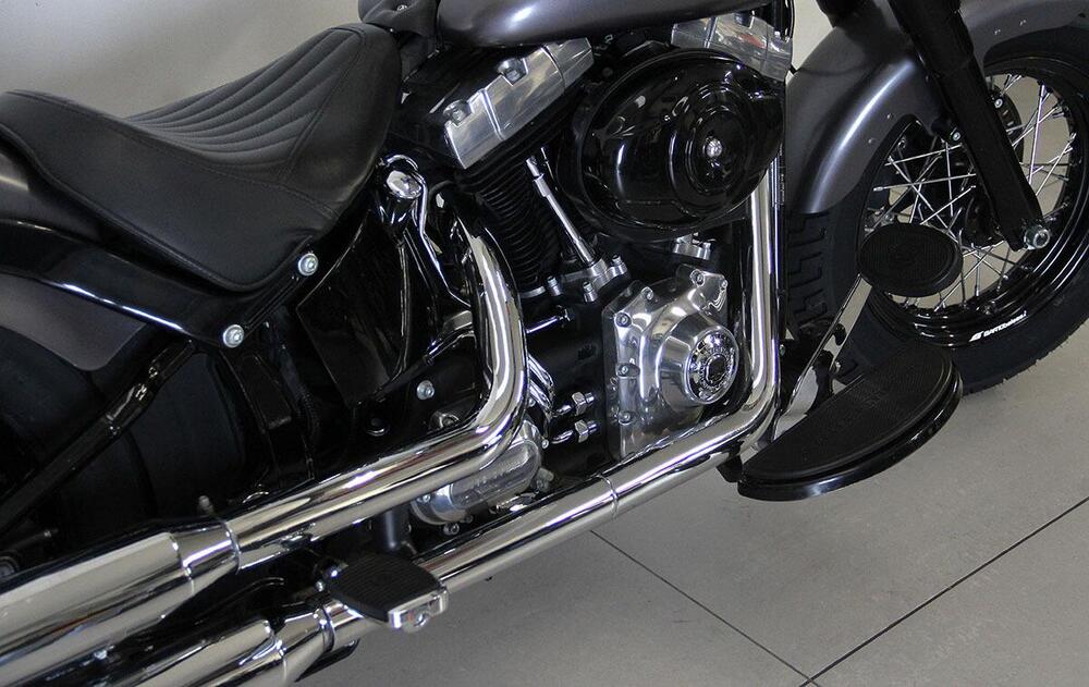 Harley-Davidson 1690 Slim (2011 - 16) - FLS (3)