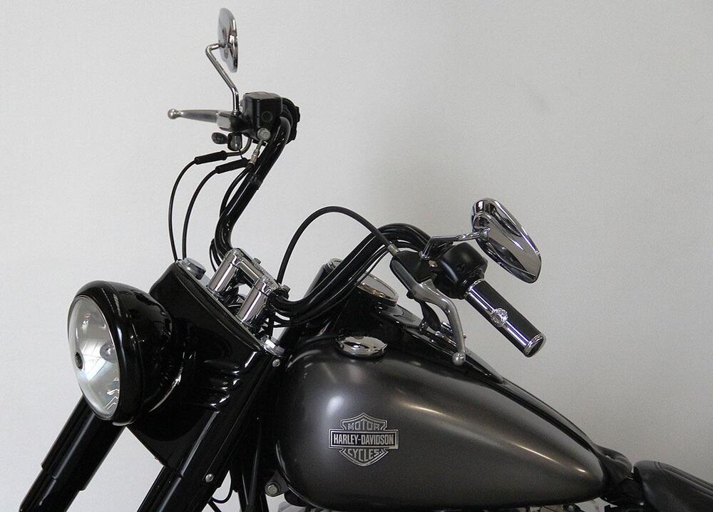 Harley-Davidson 1690 Slim (2011 - 16) - FLS (10)