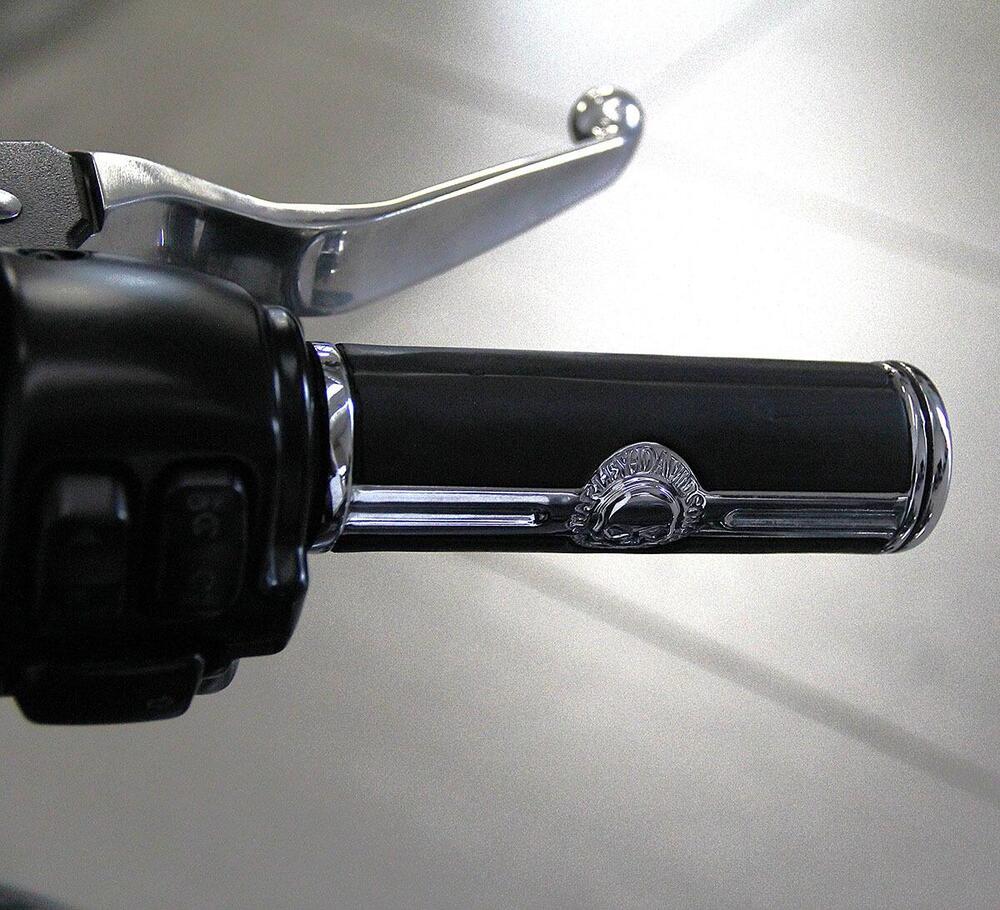 Harley-Davidson 1690 Slim (2011 - 16) - FLS (7)