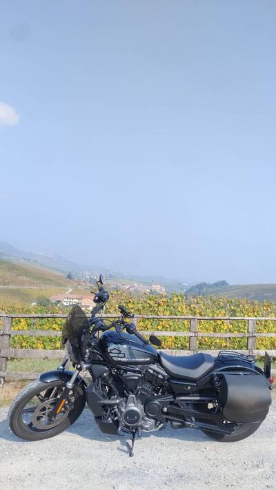 Harley-Davidson Nightster (2023 - 25) usata