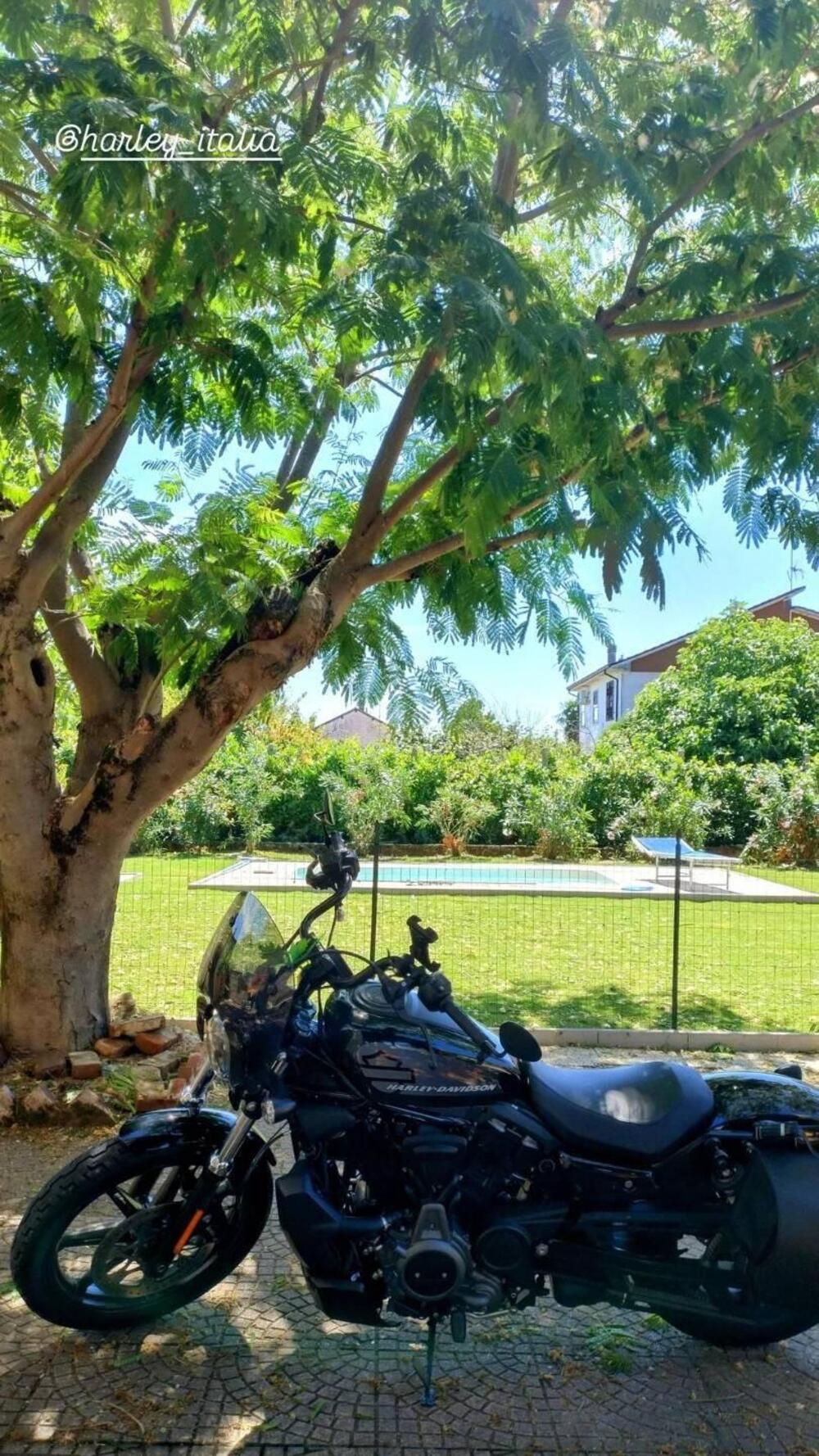 Harley-Davidson Nightster (2023 - 26) (3)