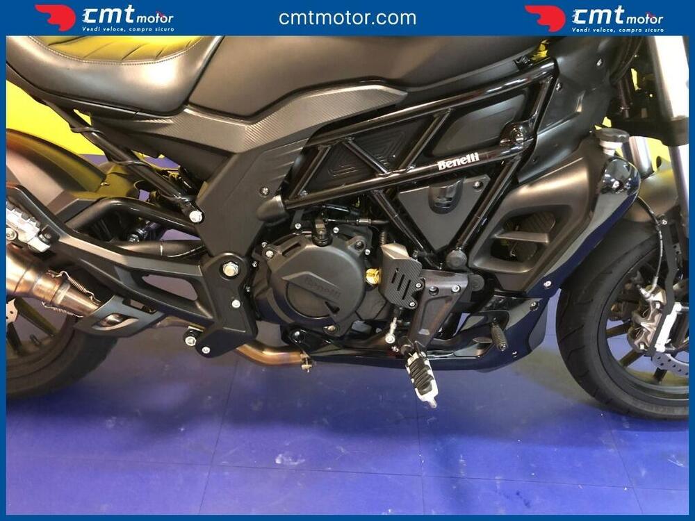 Benelli 502 C (2019 - 20) (8)