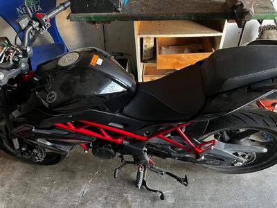 Benelli BN 125 (2021 - 25) usata