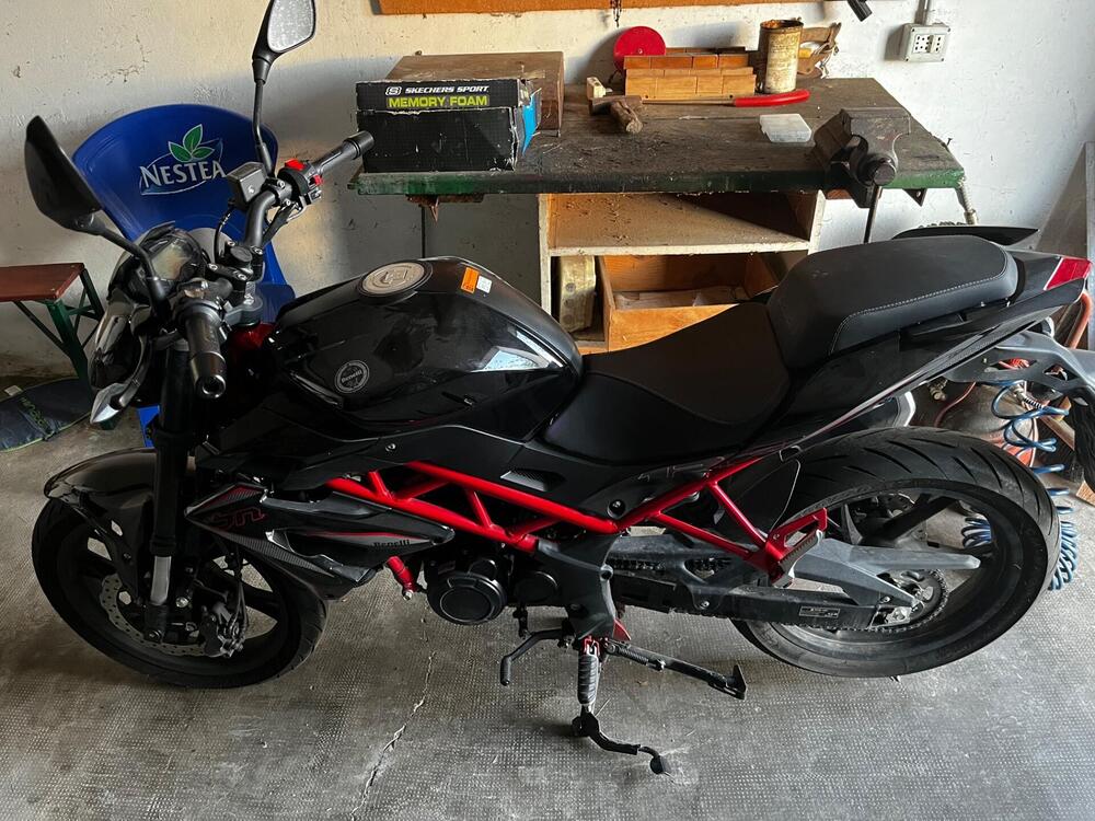 Benelli BN 125 (2021 - 25) (5)