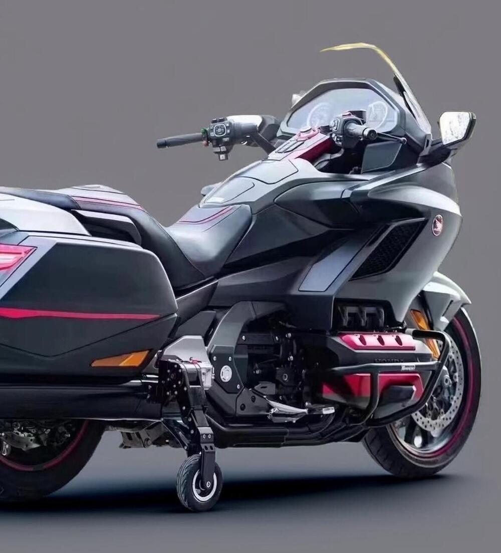 Carrello atterraggio Goldwing (2)