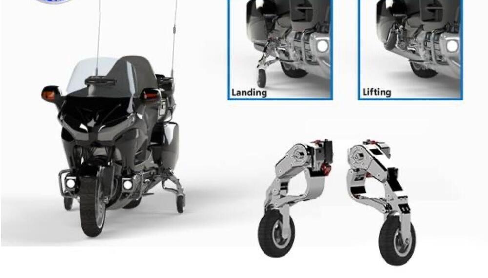 Carrello atterraggio Goldwing (5)