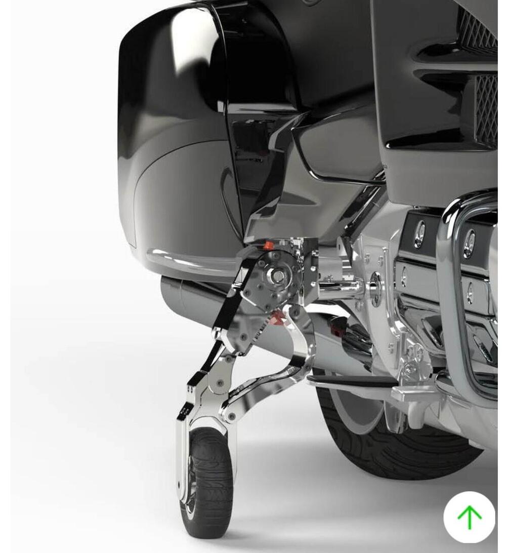 Carrello atterraggio Goldwing (8)