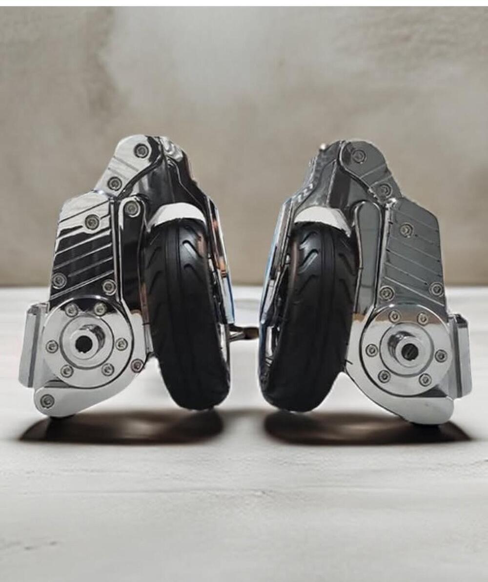 Carrello atterraggio Goldwing (10)