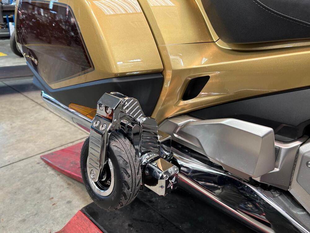 Carrello atterraggio Goldwing (11)