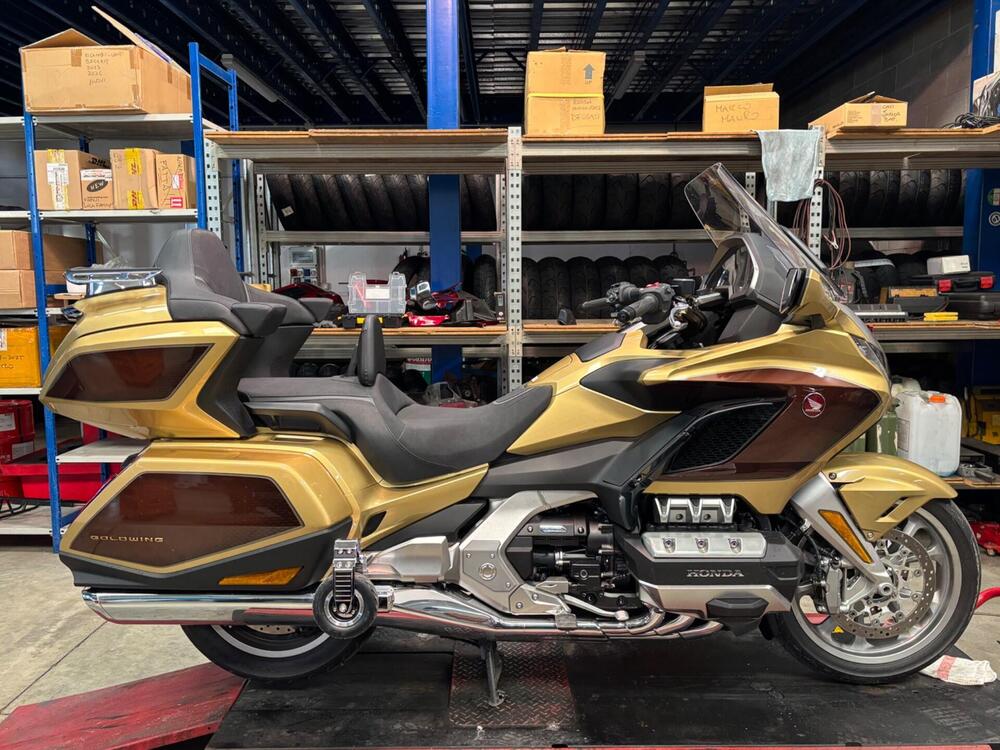 Carrello atterraggio Goldwing (12)