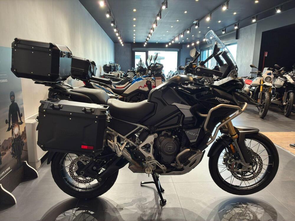 Triumph Tiger 1200 Rally Explorer (2022 - 23) (4)