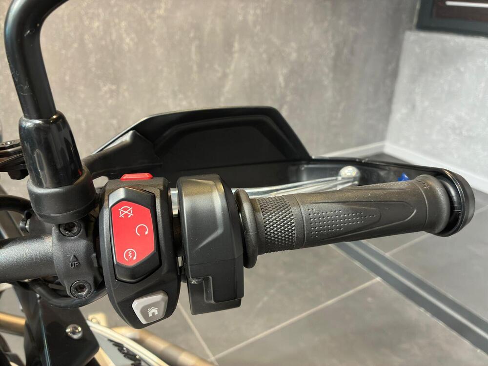 Triumph Tiger 900 GT Pro (2020 - 23) (9)