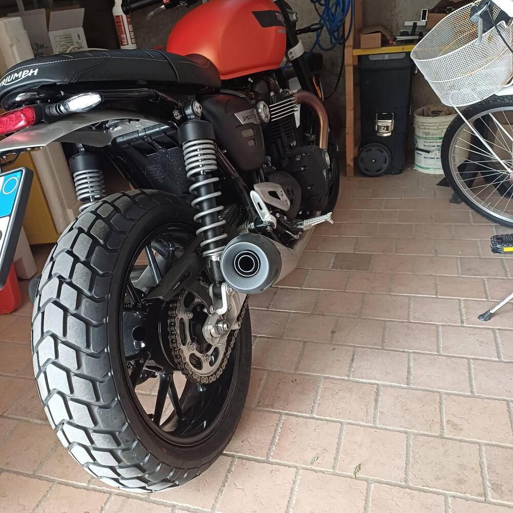 Triumph Speed Twin 1200 (2021 - 24) (2)
