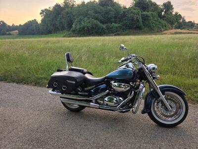 Suzuki VL 800 Intruder Volusia (2000 - 04) usata