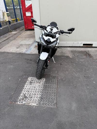 Triumph Street Triple R (2020 - 22) usata