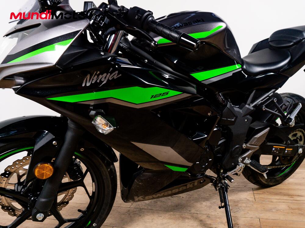Kawasaki Ninja 125 (2019 - 20) (9)