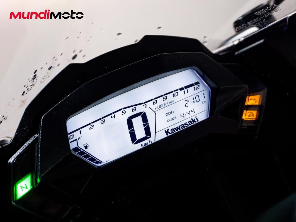 Kawasaki Ninja 125 (2019 - 20) (12)