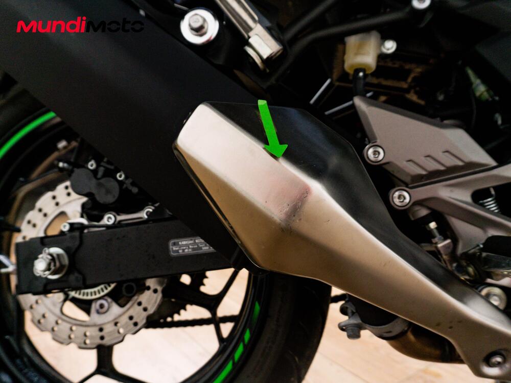 Kawasaki Ninja 125 (2019 - 20) (14)