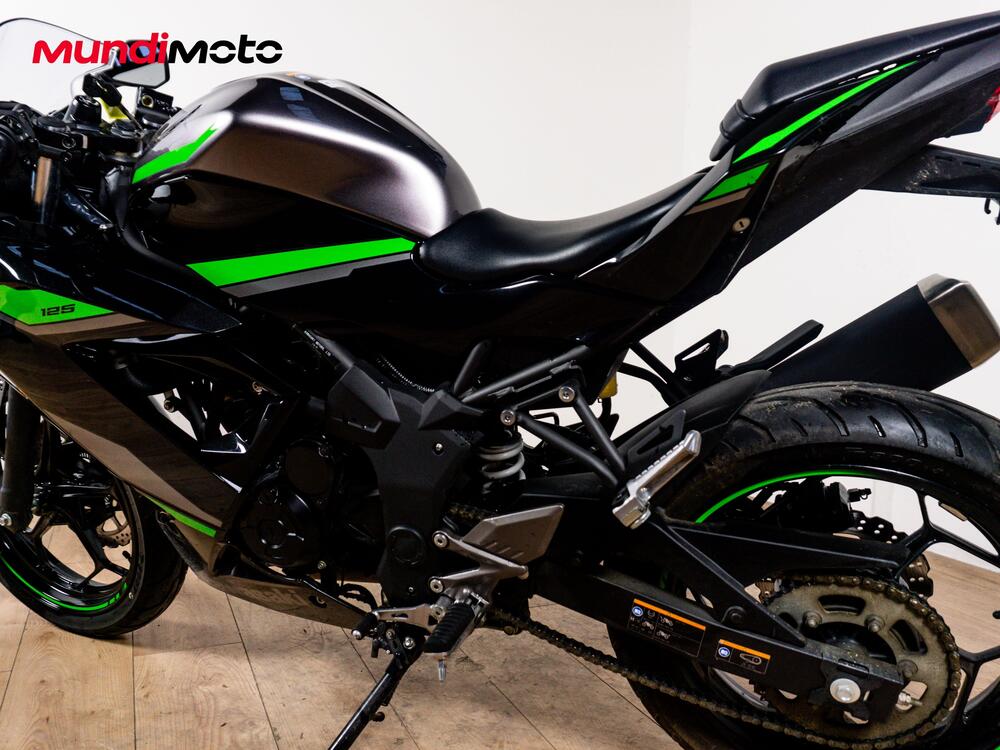 Kawasaki Ninja 125 (2019 - 20) (10)
