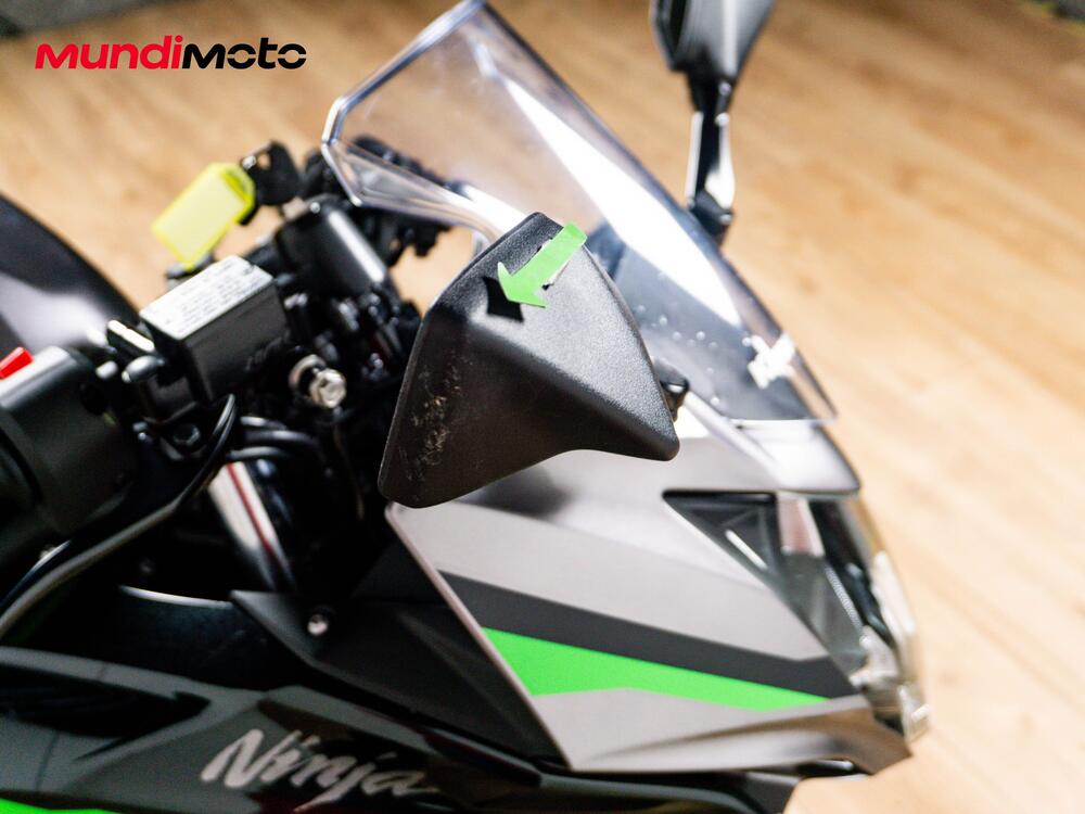Kawasaki Ninja 125 (2019 - 20) (13)