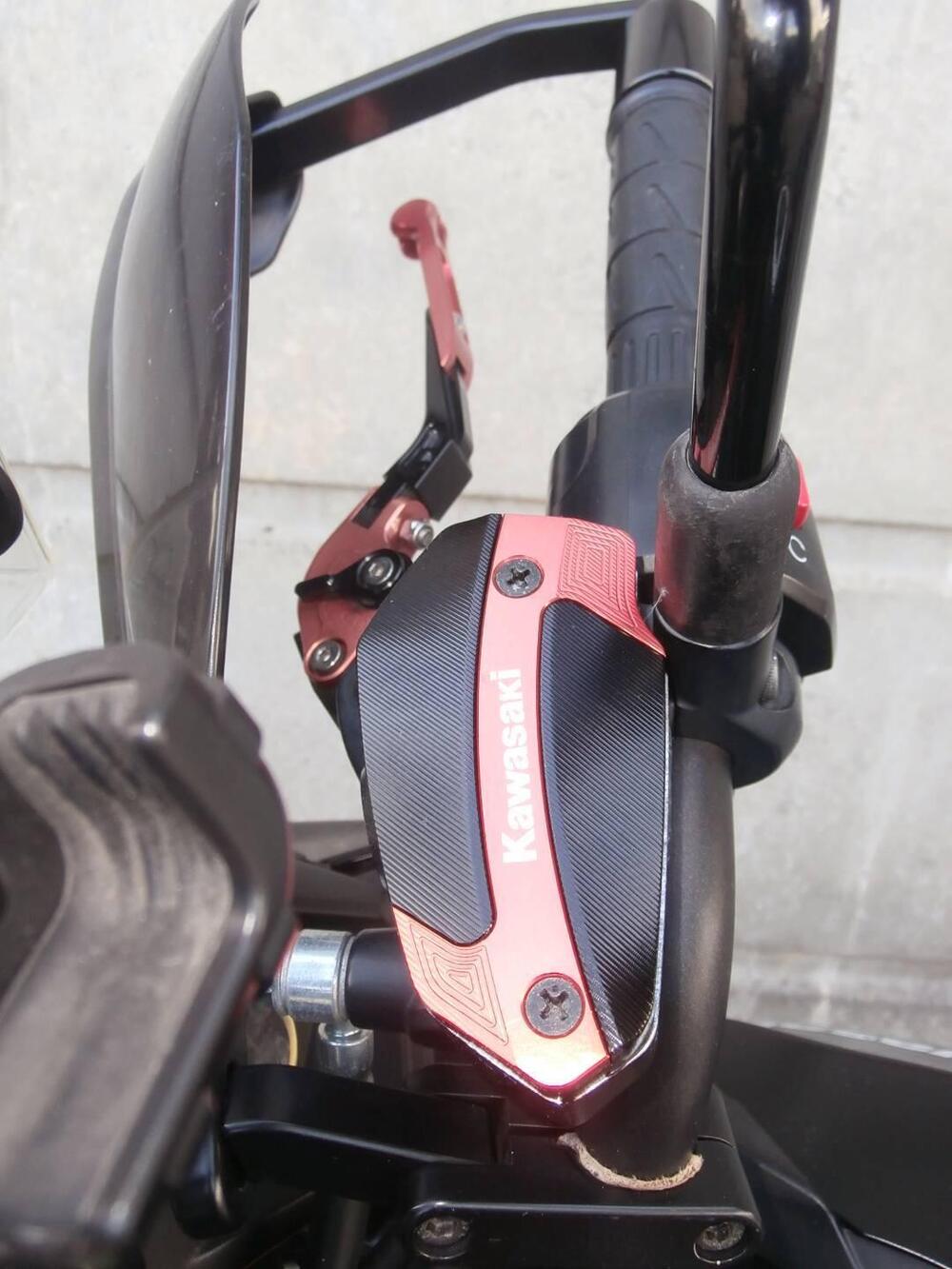 Kawasaki Versys 650 ABS (2015 - 16) (20)