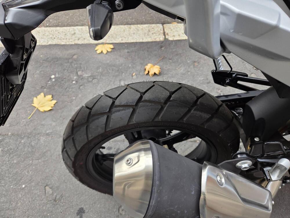 Bmw G 310 GS (2021 - 25) (7)