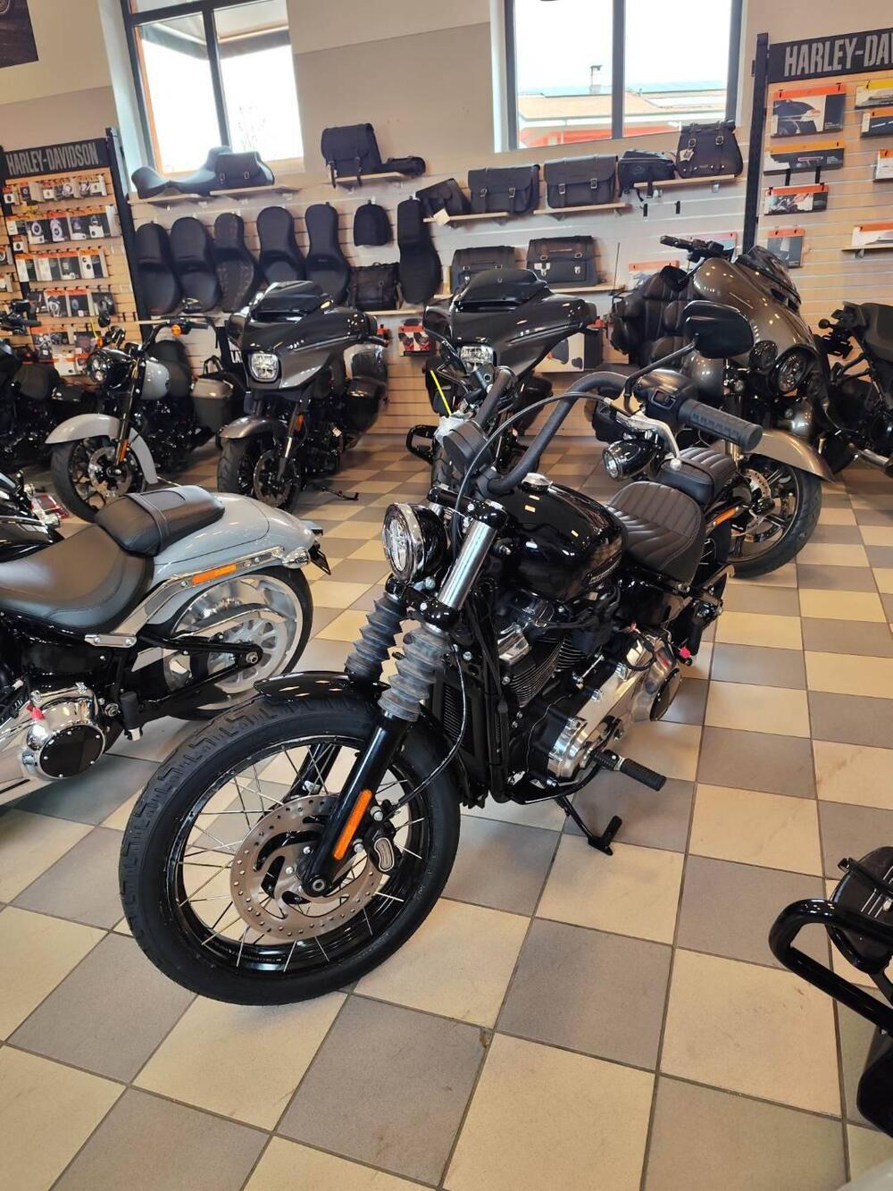 Harley-Davidson Street Bob 117 (2025 - 26) (2)