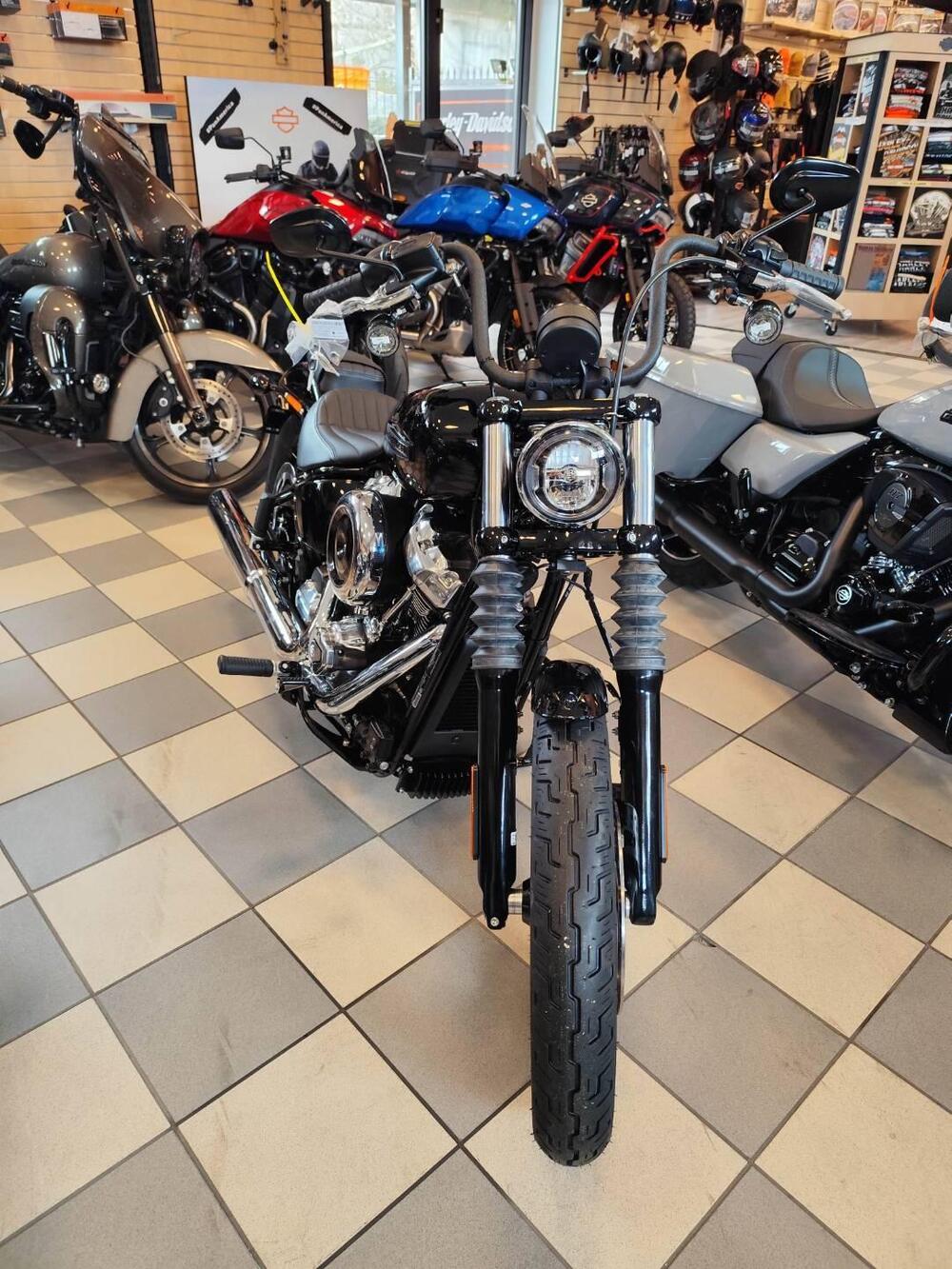 Harley-Davidson Street Bob 117 (2025 - 26) (3)