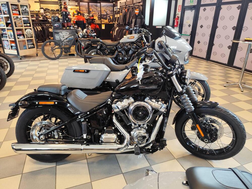 Harley-Davidson Street Bob 117 (2025 - 26)