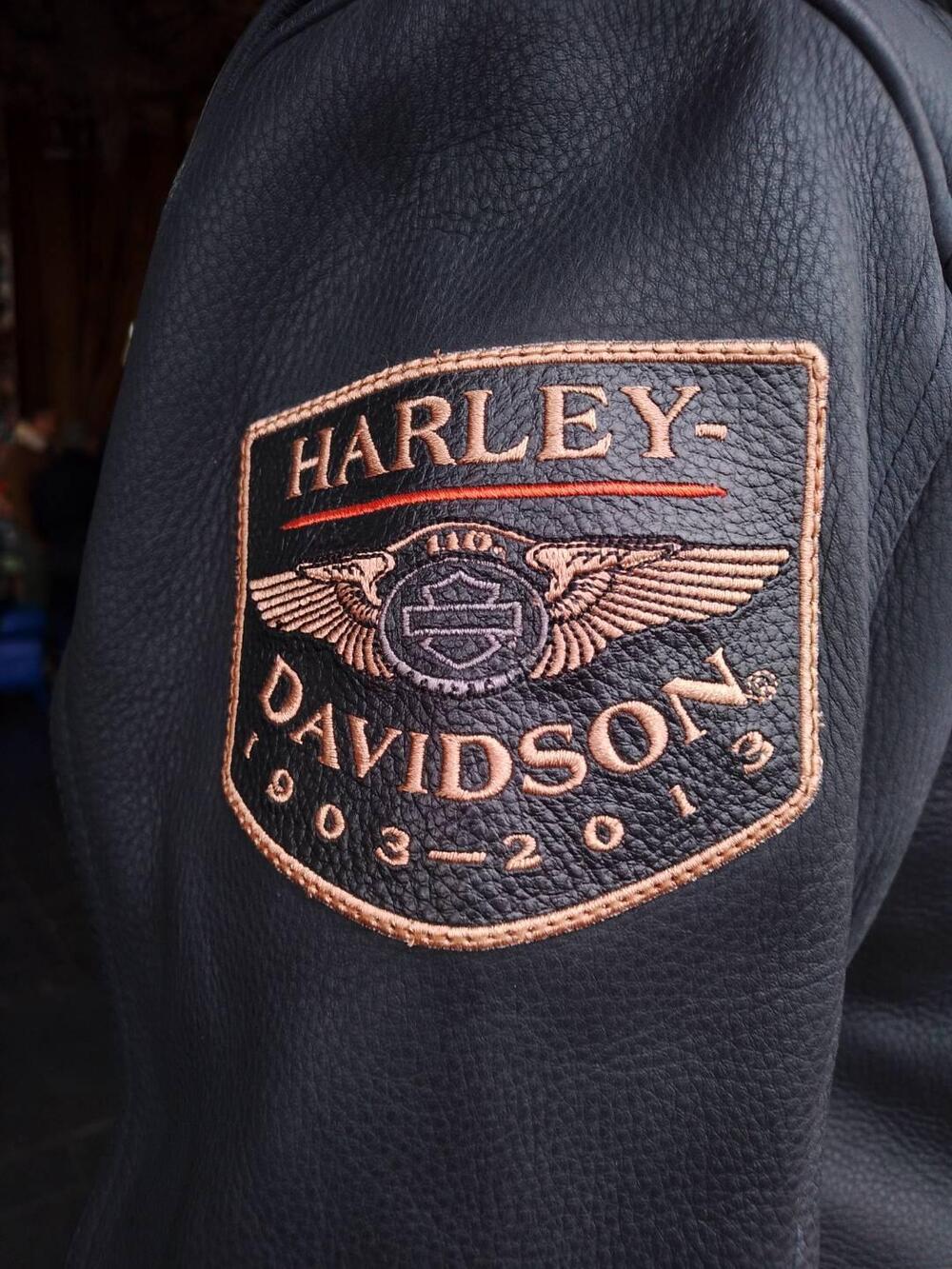 Giacca Harley Davidson 110 anniversario Harley-Davidson (4)