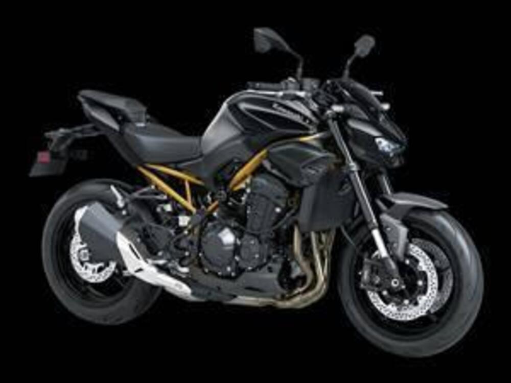 Kawasaki Z 900 (2025 - 26) (6)