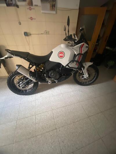 Ducati DesertX (2022 - 25) usata