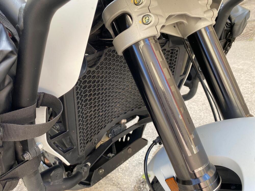 Ducati DesertX (2022 - 25) (6)