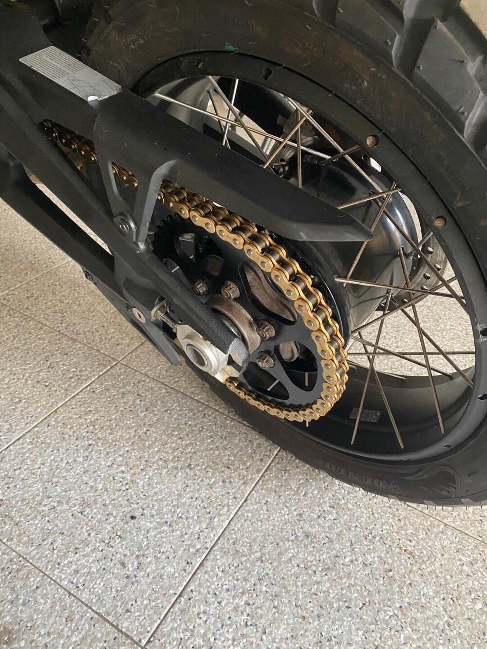 Ducati DesertX (2022 - 25) (11)