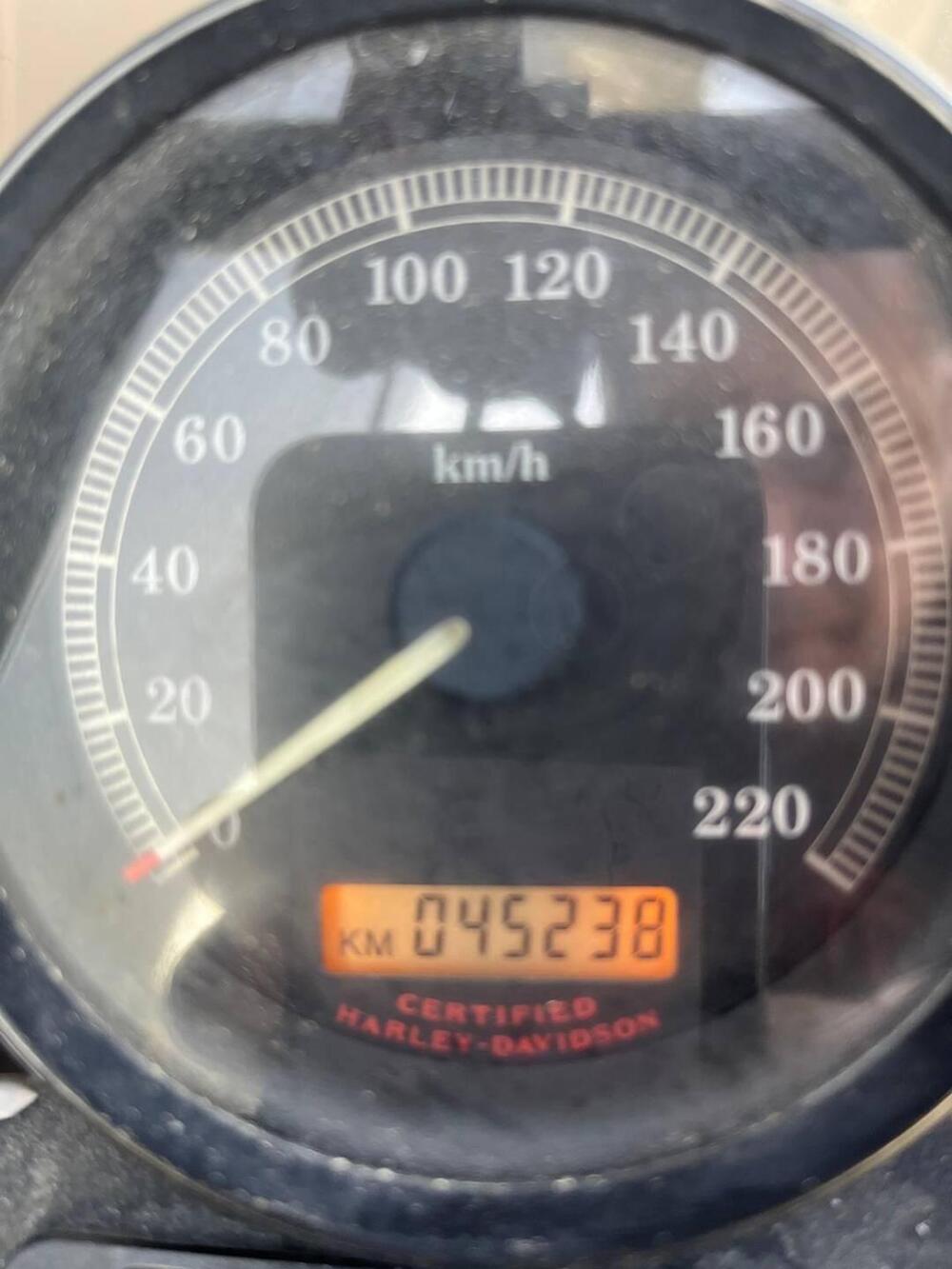 Harley-Davidson 883 R (2006 - 07) - XL 883R (11)