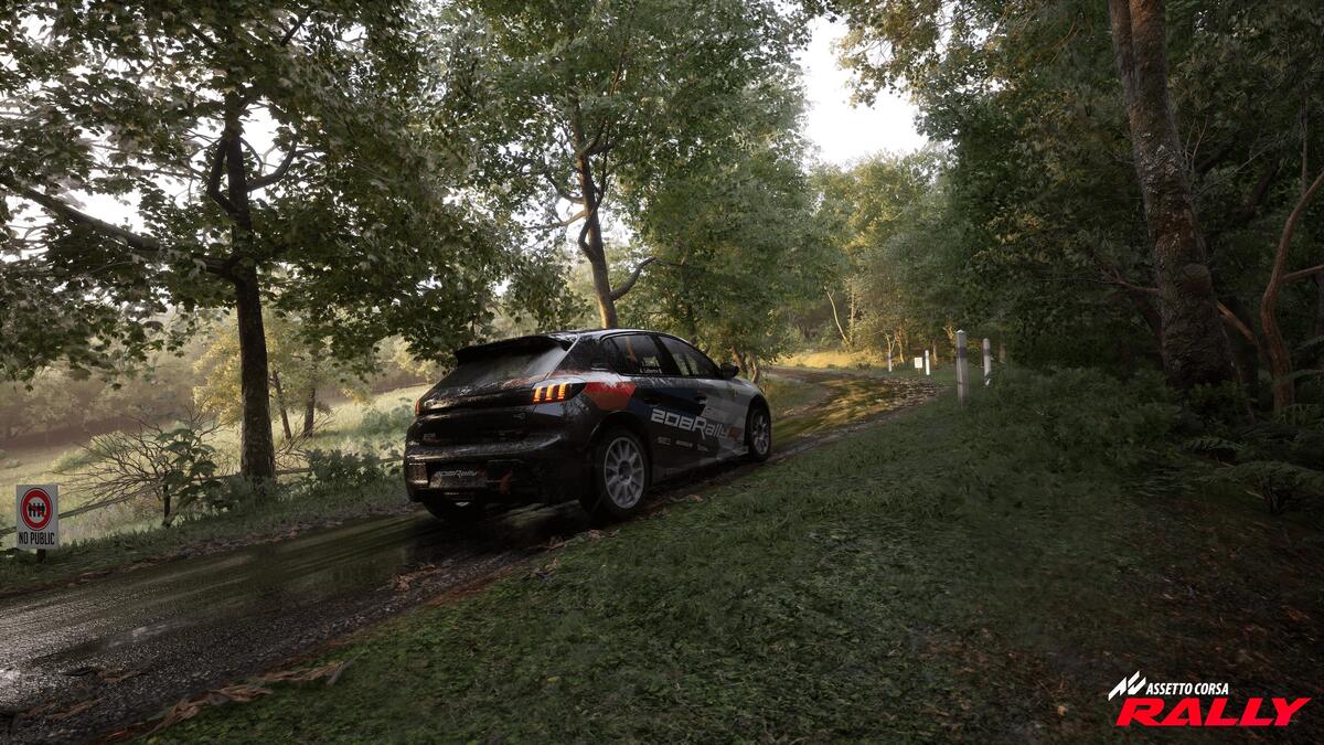 Assetto Corsa Rally: l’ultima frontiera del realismo arriva anche sulle prove speciali.