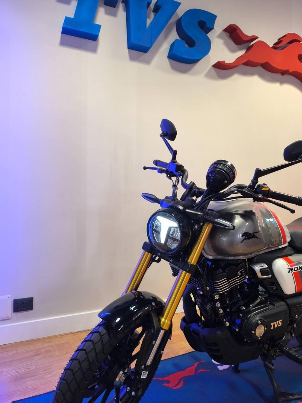 TVS Motor Ronin 250 (2024 - 26) (6)