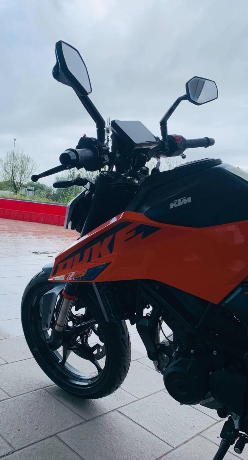 KTM 125 Duke (2024 - 25) (5)