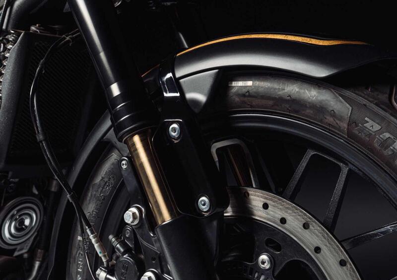 Royal Enfield Shotgun 650 Shotgun 650 x Rough Crafts (2026) (21)