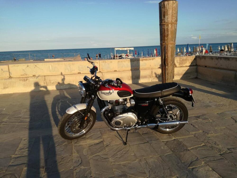 Triumph Bonneville T120 Bud Ekins SE (2020) (6)