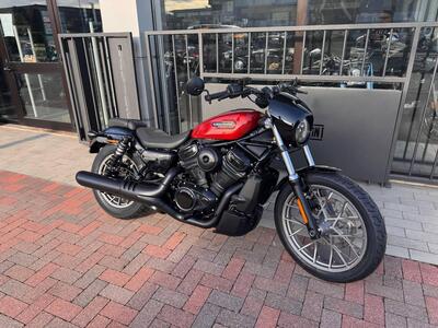 Harley-Davidson Nightster Special (2023 - 25) usata