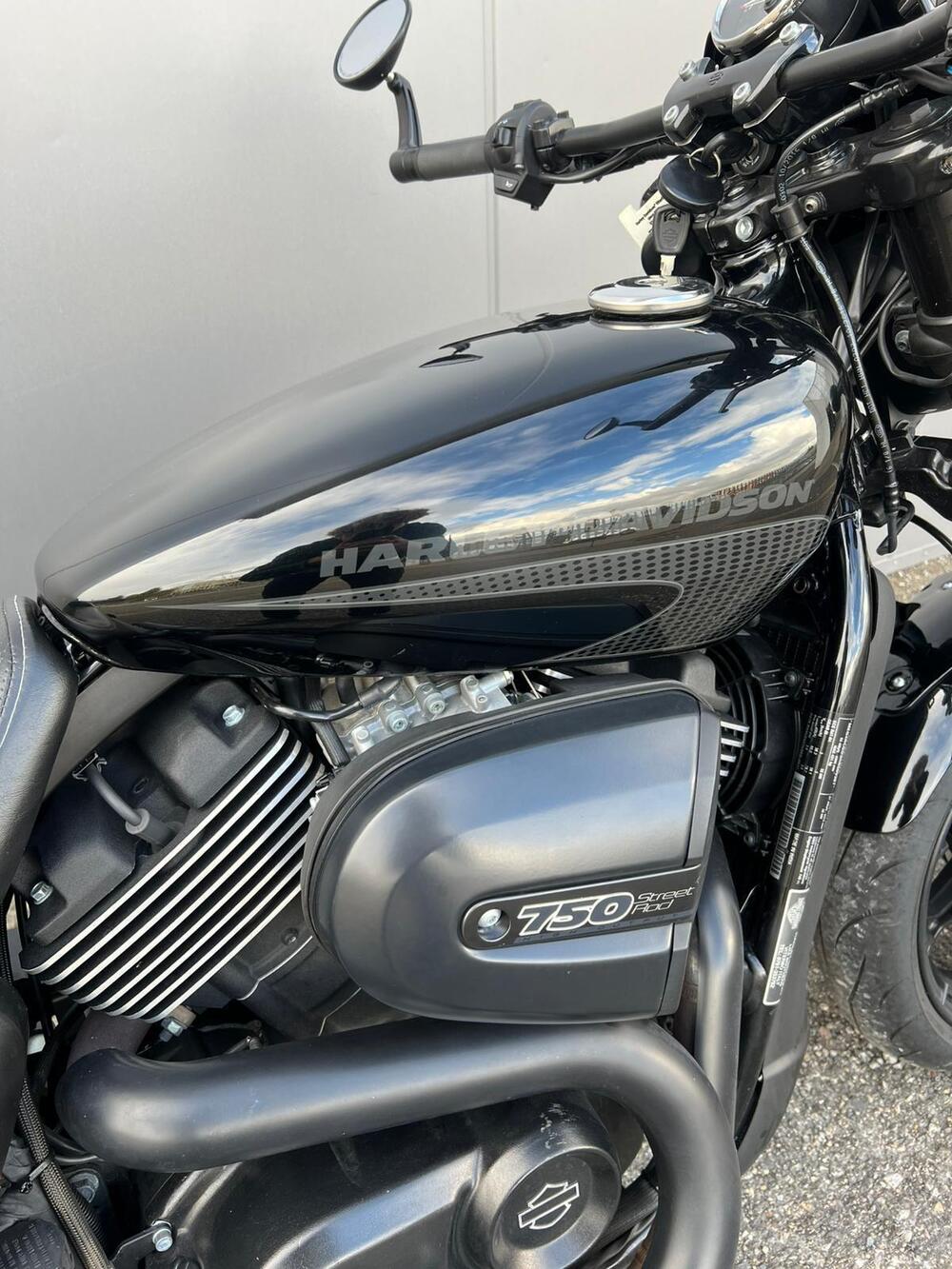 Harley-Davidson 750 Street Rod (2017 - 20) - XG 750 (3)