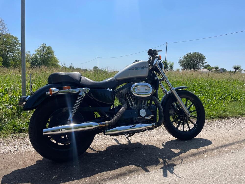 Harley-Davidson 883 Low (2005) - XL 883L