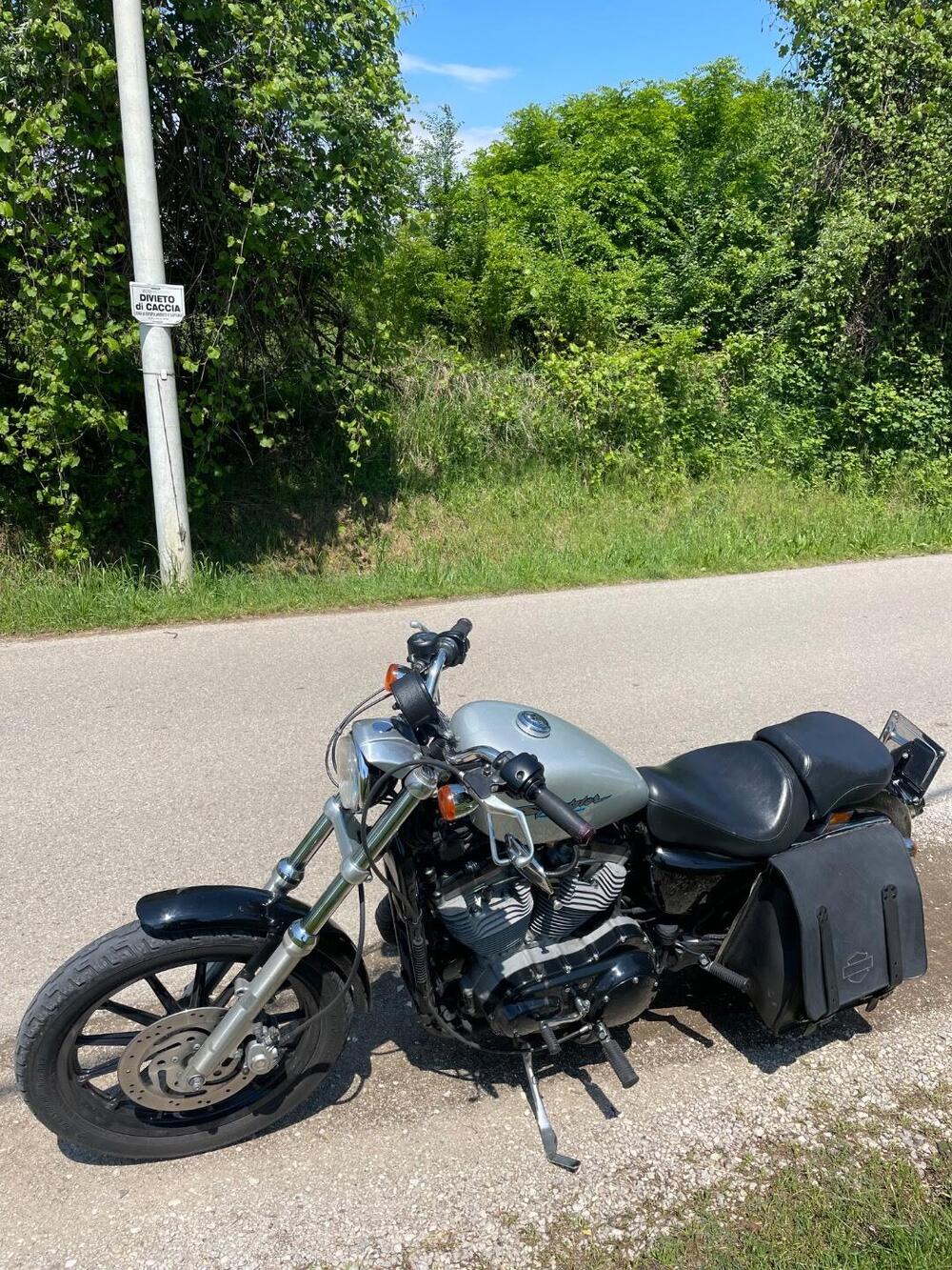 Harley-Davidson 883 Low (2005) - XL 883L (5)