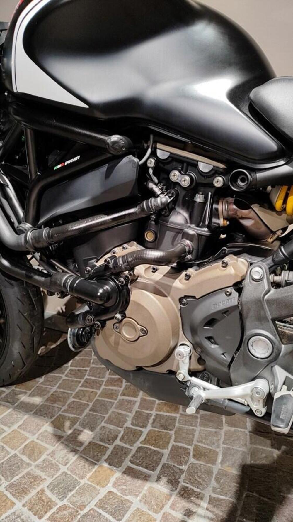 Ducati Monster 821 ABS (2014 - 17) (6)
