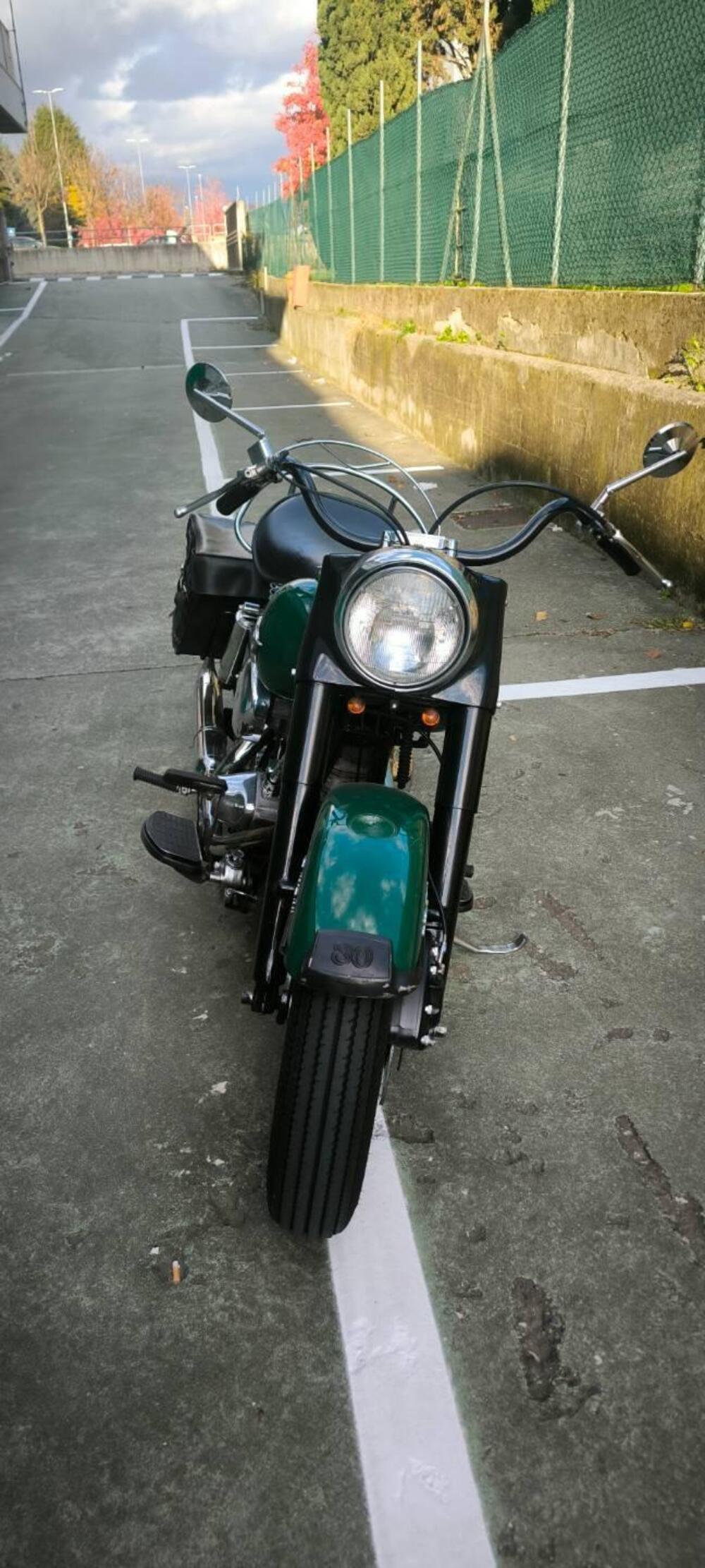 Harley-Davidson Electra shovel head (7)