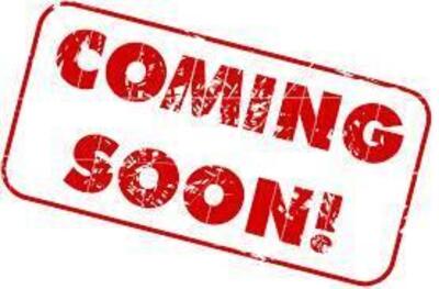 Aprilia RS 660 Extrema (2023 - 24) usata