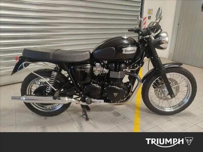 Triumph Bonneville T100 (2008 - 16) usata
