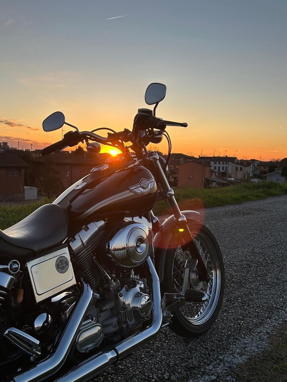 Harley-Davidson 1450 Super Glide (2003 - 04) - FXDI (3)